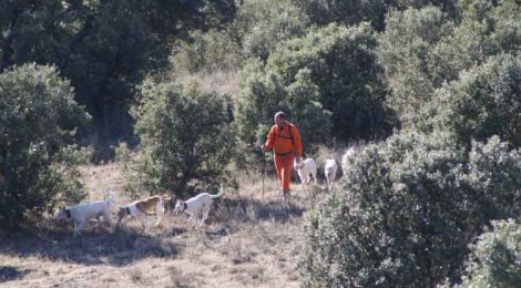 La oficina nacional de la caza se suma al acuerdo de defensa de la montería firmado por españa y portugal